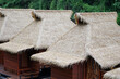 Vetiver thatched roofs of riverside houses.
