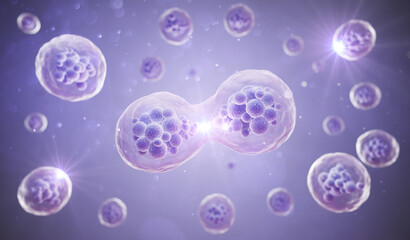 Wall Mural - 3d rendering of human cell or embryonic stem cell microscope background.