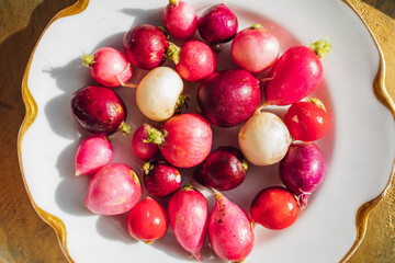 Canvas Print - trimmed multicolor pink, red, purple, white radishes on white plate with gold 