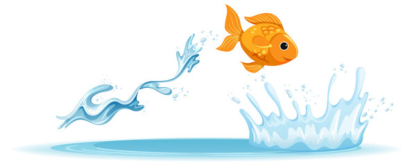 Wall Mural - A water splash with goldfish on white background