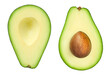 avocado cut in half on a white isolated background