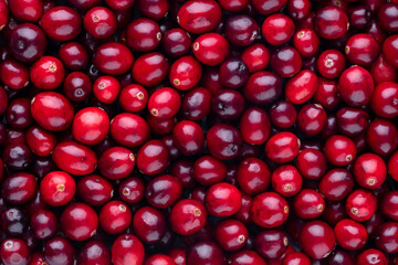 Wall Mural - Cranberry bio background, food background.