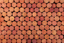 Many Wine Corks, Top View. Design Element, Template Wine Background With Copy Space. Design  For Menu Cover Or Wine Tasting Invitation