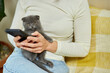 © bondarillia - Woman with scottish kitten on the sofa with phone, chatting using smartphone