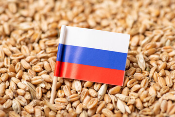 Canvas Print - Flag of Russia on wheat grain. Russian wheat concept