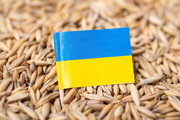 Sticker - Flag of Ukraine on oat grain. Harvest of oat in Ukraine concept