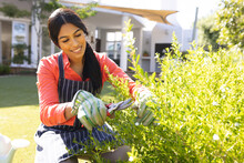 Smiling Biracial Young Woman Pruning Plants In Backyard On Sunny Day