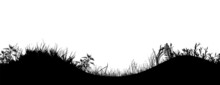 Grass Black Silhouettes. Vector Illustration