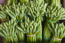 Bunches Of Wild Asparagus Display On The Market In Arras, France, Close Up Macro