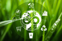 Circular Economy Concept. Green Grass And Illustration Of Infinity Symbol And Different Icons