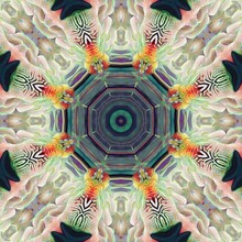 Beautiful Python Skin Pattern With A Unique Traditional Batik Theme.  Beautiful Abstract Decoration With Kaleidoscope Pattern, Seamless Pattern, Spiral, Mandala, Geometry And Polar