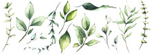 Watercolor Floral Set Of Green Leaves, Branches, Twigs Etc. Isolated Greenery Illustration. 