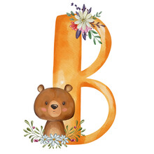Animal Nursery Alphabet. B Is For Bear. Hand Drawn Watercolor Alphabet Letters