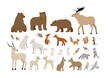 © simpleblues - Big vector set of forest animals: bear, deer, wolf, fox, lynx, squirrel, moose, owl, rabbit, raccoon. Hand drawn woodland animal collection. Cute wild characters. Vector illustration