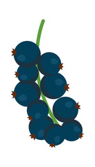 Wall Mural - Currant branch icon. Vector illustration