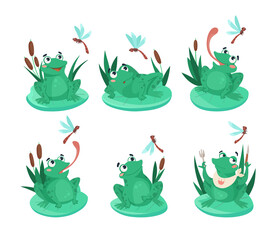 Wall Mural - comic frog catching dragonfly vector illustrations set. funny aquatic animal cartoon character sitti