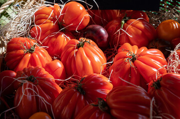 Colorful french ripe tasty tomatoes in assortment on Provencal market in Cassis, Provence, France