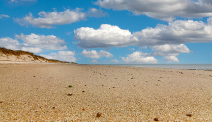 Wall Mural - Cape Cod National Seashore Dunes and Pathway to the Ocean