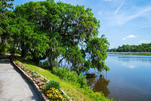 Beautiful Nature Preserve In Charleston, South Carolina