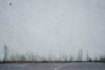 Wall Mural - Big empty old cracked wall painting with whitewash over sidewalk at city street. Aged building exterior.