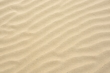 Sand Ripples Created By The Wind In The Fine Beach Sand By The Sea