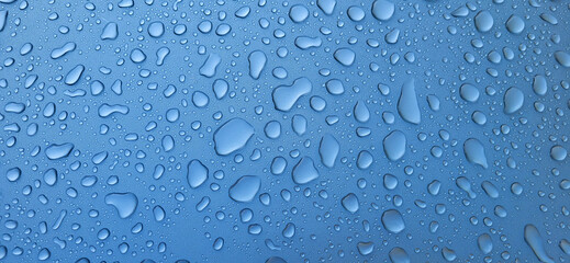  A drop of water on the hood of the car. Water beads after rain or car wash on blue paint surface.