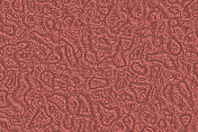 Creative Beautiful Red Monstrous Tissue Digital Drawn Background Texture Illustration