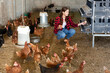 © JackF - Hardworking young girl working on a farm collects eggs in a chicken coop