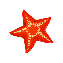 Cartoon Starfish Underwater Animal, Vector Red Sea Invertebrate Creature. Isolated Ocean Wild Life, Marine Fauna Inhabitant With Red Skin And Dotted Pimpled Pattern
