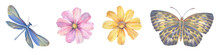 Flowers, Butterfly And Dragonfly Painted In Watercolor, Collected In A Set For Design.