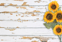 Wooden Background Floral Sunflower Decoration Wood Texture