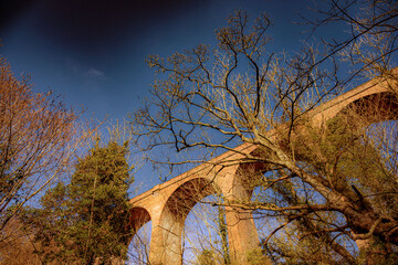 Castle Eden Dene, Durham, north east England, UK