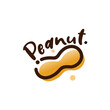 logo peanut vector template illustration