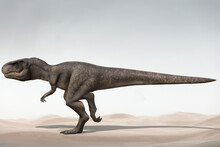 3d Illustration Of Young Tyrannosaurus Rex With Desert Background 