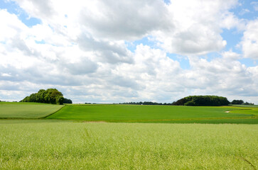 beautiful Bavarian nature, summer landscape