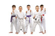 © master1305 - Portrait of 6 preschool age boys, beginner karate fighters in white doboks standing together isolated on white background. Concept of sport, martial arts, education