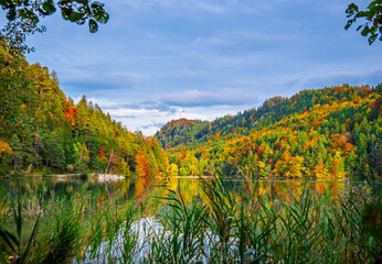 Poster - Autumn lake with clouds and forest