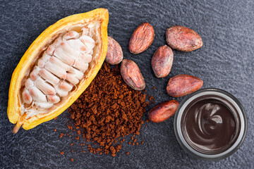 Wall Mural - Fresh cocoa fruit, cocoa powder 
