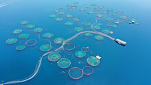 Aerial Drone Photo Of Sea Bass And Sea Bream Fishery Or Fish Farming Unit In Mediterranean Calm Deep Blue Sea