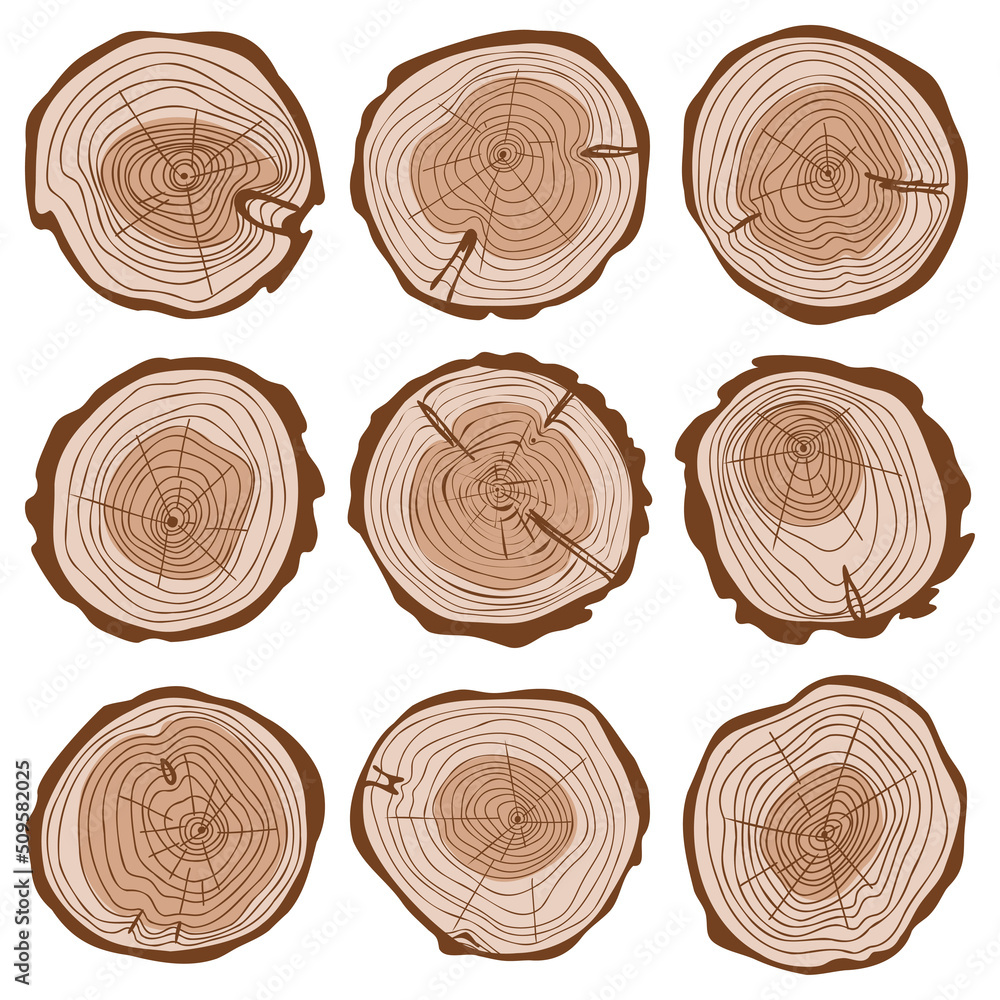 Tree Rings Cut Art Cut of tree trunk color set, round cut of logs collection, wavy rings ...