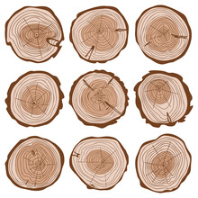 Cut Of Tree Trunk Color Set, Round Cut Of Logs Collection, Wavy Rings Of Life, Concentric Hand Drawn Circles, Wood Age Tree Rings