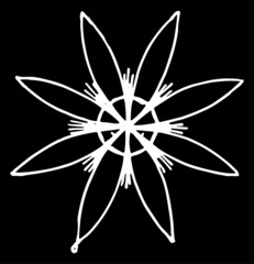 Wall Mural - stylized multipath star or flower with 8 petals, hand-drawn in sketch style simple mandala, isolated white line on black for design template on white for design template