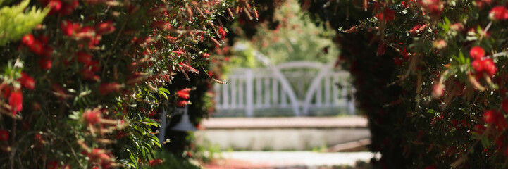 Beautiful arch of red flowers in garden