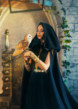 Portrait Gothic Fantasy Halloween Woman Dark Queen Witch In Black Dress, Cape Hood On Head. Girl Elf Princess Sorceress Holds White Bird Barn Owl In Hand. Art Royal Room Throne Brick Wall. Lady Goth