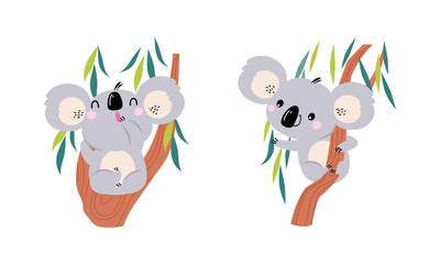 Wall Mural - Adorable Koala Arboreal Australian Animal with Round Ears Sitting on Eucalypt Tree Vector Set