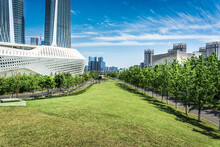 Modern City Buildings, Park Foreground