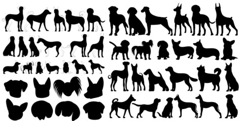 Wall Mural - dogs set silhouette on white background, isolated, vector