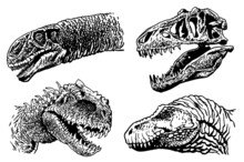 Graphical Set Of Dinosaur Portraits Isolated On White. Vector Heads And Skull . Paleontological Element