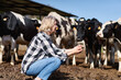 © JENOCHE - mature woman worker at cow livestock farmers on the background of cows