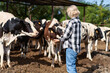 © JENOCHE - portrait of mature woman at cow farm
